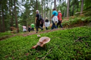 Slovesnost ob vstopu v mrežo Gorniške vasi